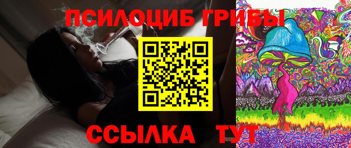 Бугульма  Галлюциногенные грибы мицелий  Псилоцибиновые грибы ЛСД  Вход с VPN 